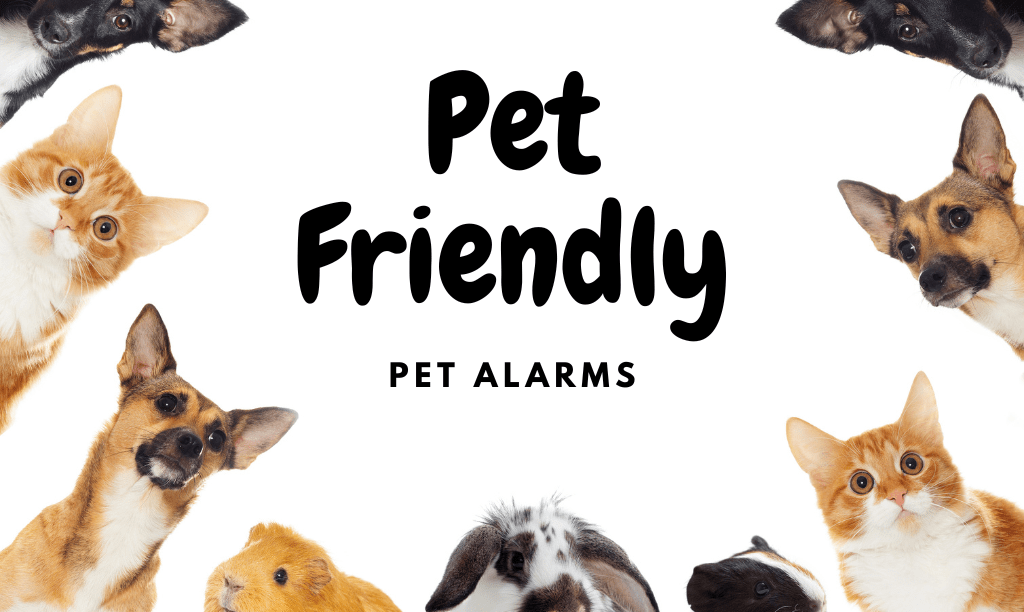What is a Pet friendly Alarm System